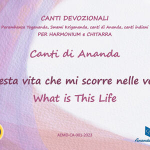 Questa vita che mi scorre nelle vene - What is this Life
