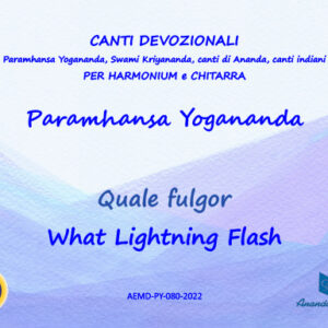 Quale Fulgor - What Lightening Flash