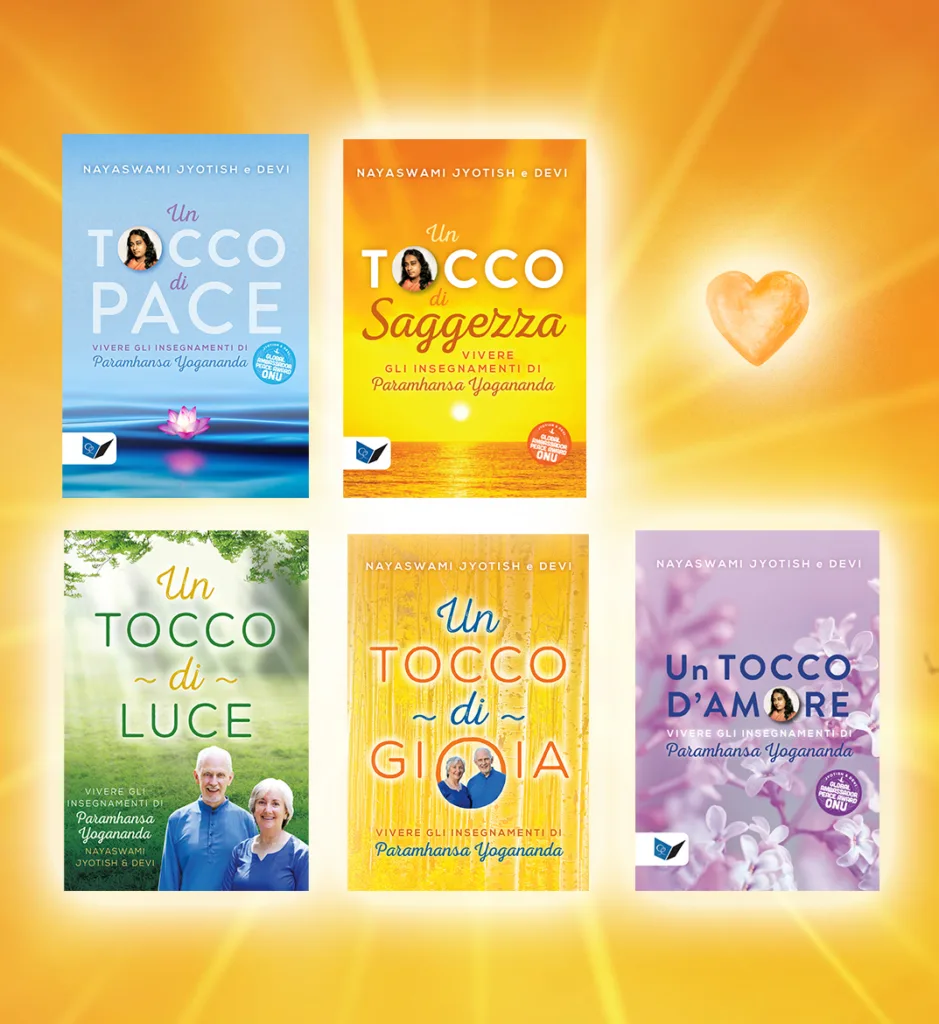 Banner-5-cover