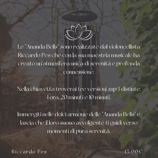 Ananda Bells - usb - immagine 2