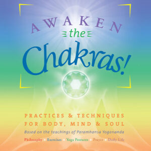 Awaken the Chakras - English Version - ebook