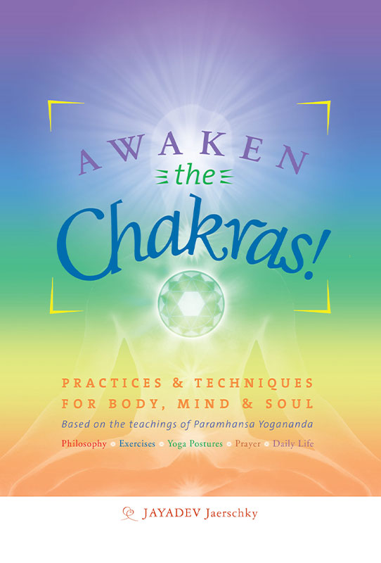 Awaken the Chakras - English Version - ebook