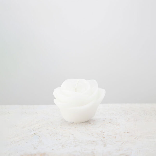 Candela Petalo Vigoroso Bianco E