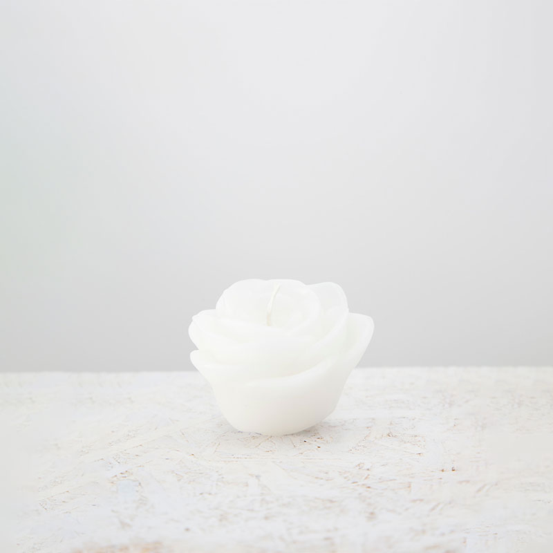 Candela Petalo Vigoroso Bianco E