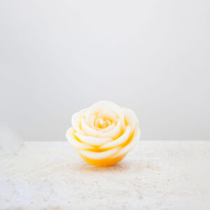 Candela Petalo Vigoroso Giallo B