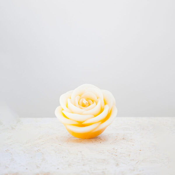 Candela Petalo Vigoroso Giallo B