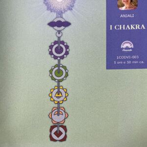 I Chakra - video scaricabili - scaricabile