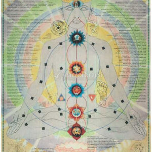 Poster "L'Uomo Cosmico - Atlante Completo dei Chakra, delle Nadi, dei Mantra"