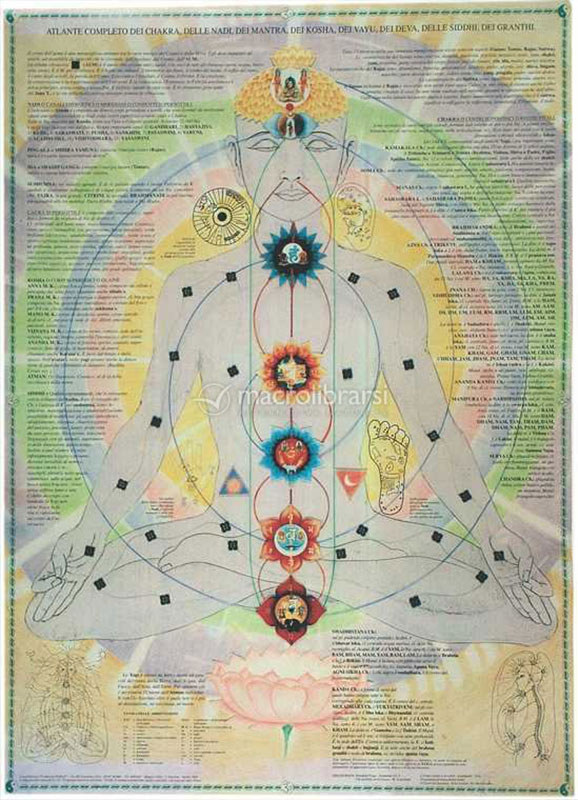 Poster "L'Uomo Cosmico - Atlante Completo dei Chakra, delle Nadi, dei Mantra"