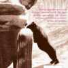 Ridi con Yogananda - ebook - immagine 2