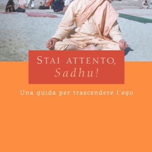 Stai attento, Sadhu! - ebook