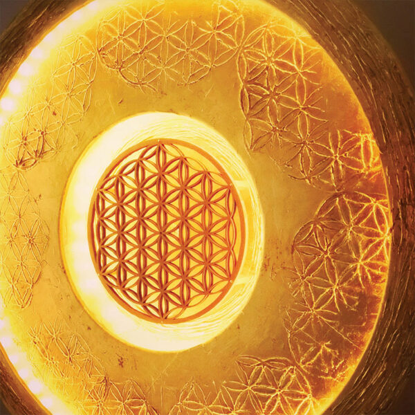 Sun of Life - immagine 2